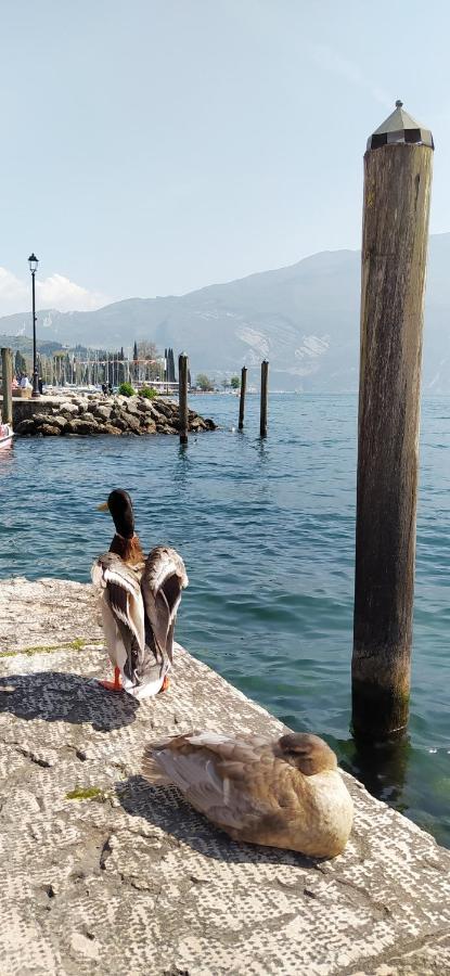 Riva Del Garda Nest Apartment ภายนอก รูปภาพ